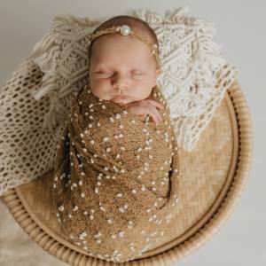 Welcome Violet